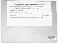 Image Associated With the Occurence